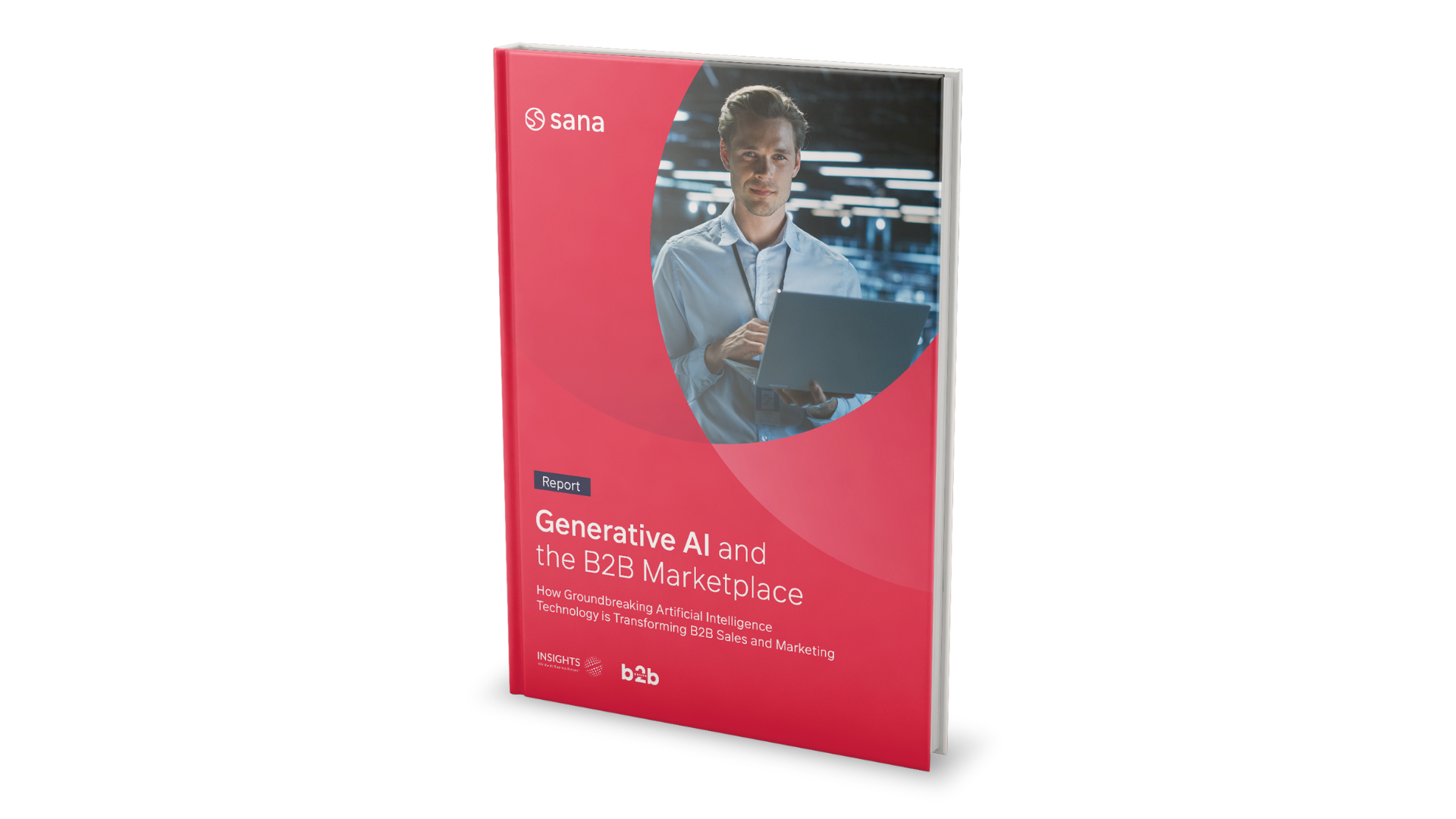 report generative AI and the B2B marketplace